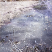 Prairie spring