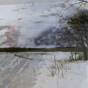 Wild river prairie restoration